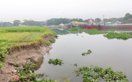 হাজীগঞ্জে বালু ব্যবসায়ীদের দৌরাত্ম্যে নদীগর্ভে বিলীন কৃষিজমি