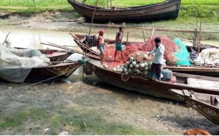 নিষেধাজ্ঞা শেষ, ইলিশের টানে আবার নদীতে জেলেরা