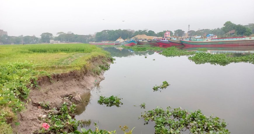 হাজীগঞ্জে বালু ব্যবসায়ীদের দৌরাত্ম্যে নদীগর্ভে বিলীন কৃষিজমি