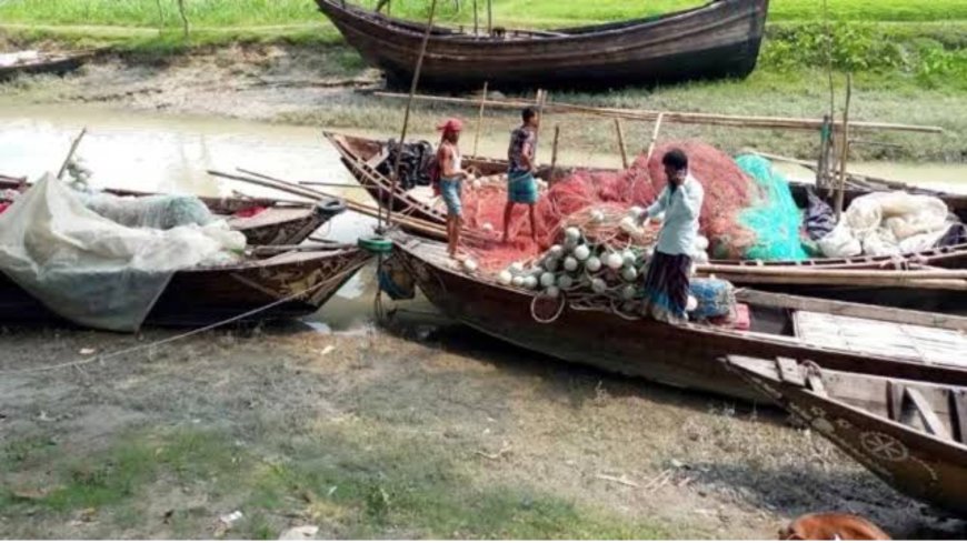 নিষেধাজ্ঞা শেষ, ইলিশের টানে আবার নদীতে জেলেরা
