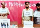 চাঁদপুরে যৌথ বাহিনীর অভিযানে ৩ মাদককারবারি গ্রেপ্তার