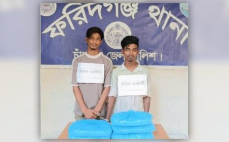 ফরিদগঞ্জে গাঁজাসহ দুই মাদক কারবারি গ্রেফতার