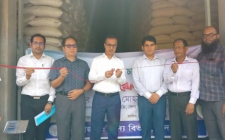 চাঁদপুরে ধান-চাল সংগ্রহ কার্যক্রম উদ্বোধন