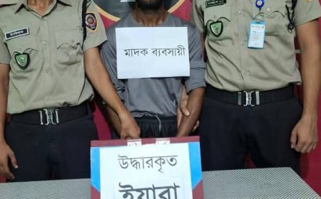 চাঁদপুর যৌথবাহিনীর বিশেষ অভিযানে ইয়াবা সহ আটক১