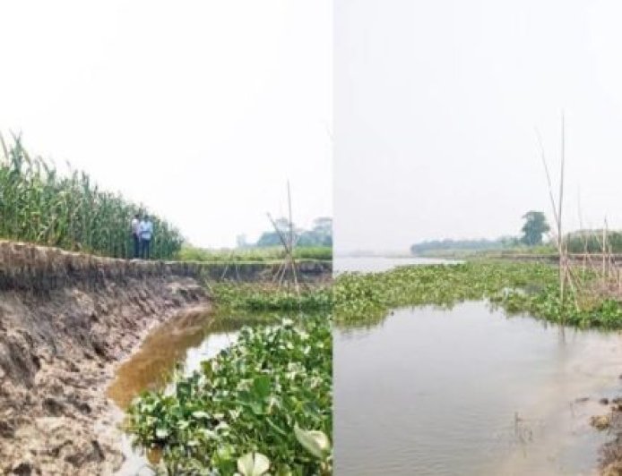মতলবে হাজার একর ফসলি জমি হুমকির মুখে