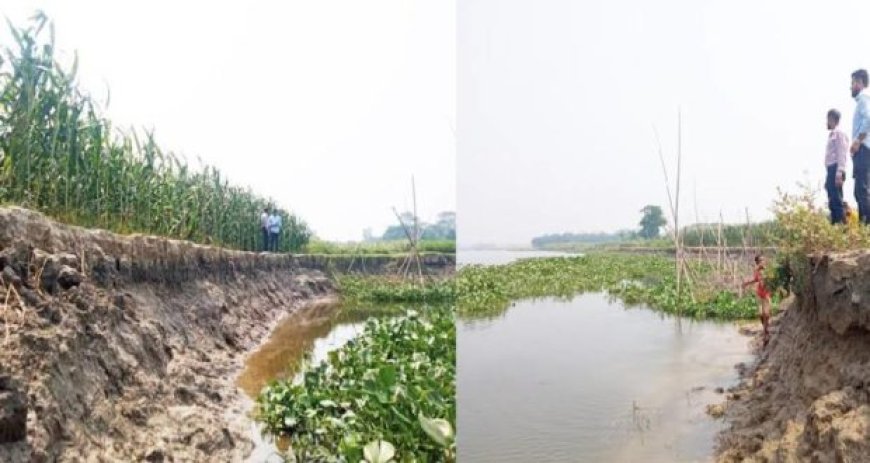 মতলবে হাজার একর ফসলি জমি হুমকির মুখে