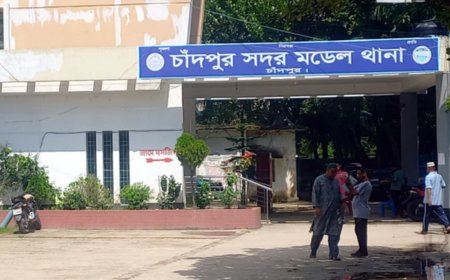 চাঁদপুর সদর: বিদ্যুৎস্পৃষ্ট হয়ে বাবা-ছেলের মর্মান্তিক মৃত্যু
