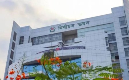 চাঁদপুরের ৩ জনসহ ৭১ উপজেলা নির্বাচন কর্মকর্তাকে বদলি