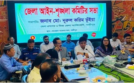 প্রধানমন্ত্রীর ত্রাণ তহবিলে ১ মাসের বেতন দিলেন এমপি মিলন